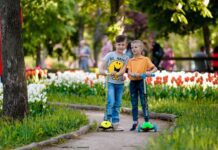 В дендропарке Кропивницкого зацвели тюльпаны