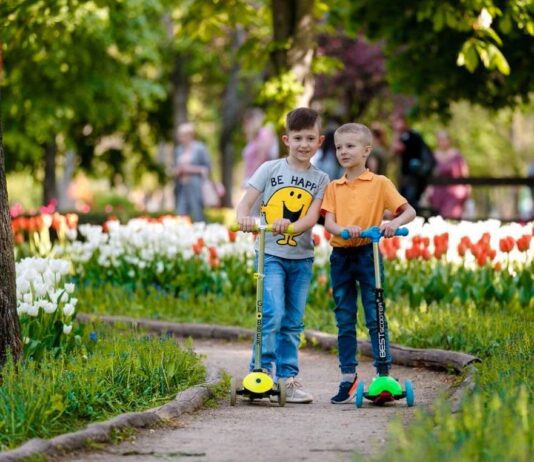 У дендропарку Кропивницького зацвіли тюльпани