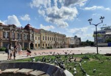 Советы, которые помогут сохранять чистоту родного города