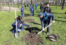 Как кропивничанам защитить окружающую среду?