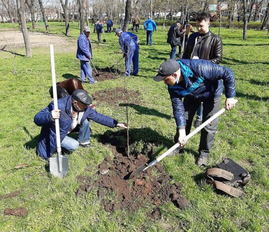 Як кропивничанам долучитися до захисту довкілля?