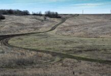 Село-призрак Терновая Балка на Кировоградщине — бывший немецкий концлагерь