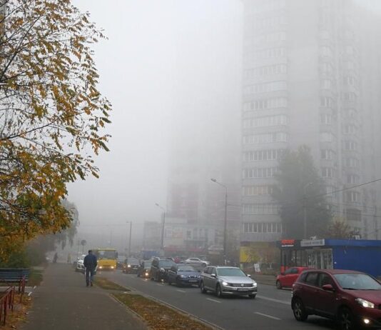 Чем дышат кропивничане?