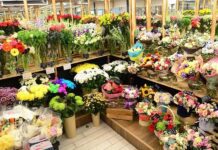 Чи є прибутковим квітковий бізнес на Кіровоградщині?