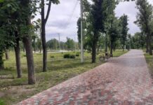 Казенный сад для елисаветградского императора