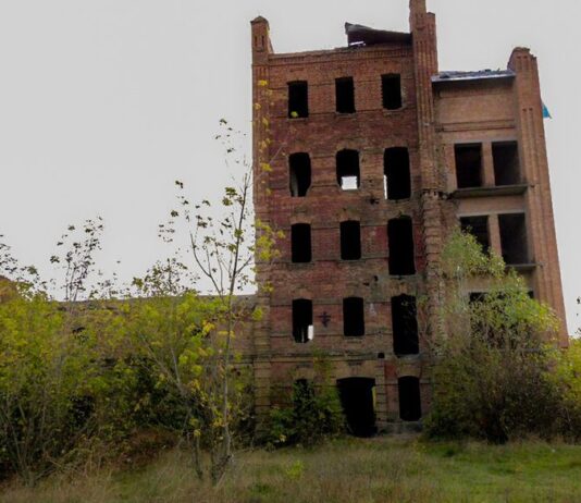 Велике минуле млина Варшавського