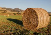 Як правильно обрати обмотувач рулонів?