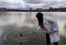 Экологический кризис водных артерий: загрязнение рек Кировоградской области